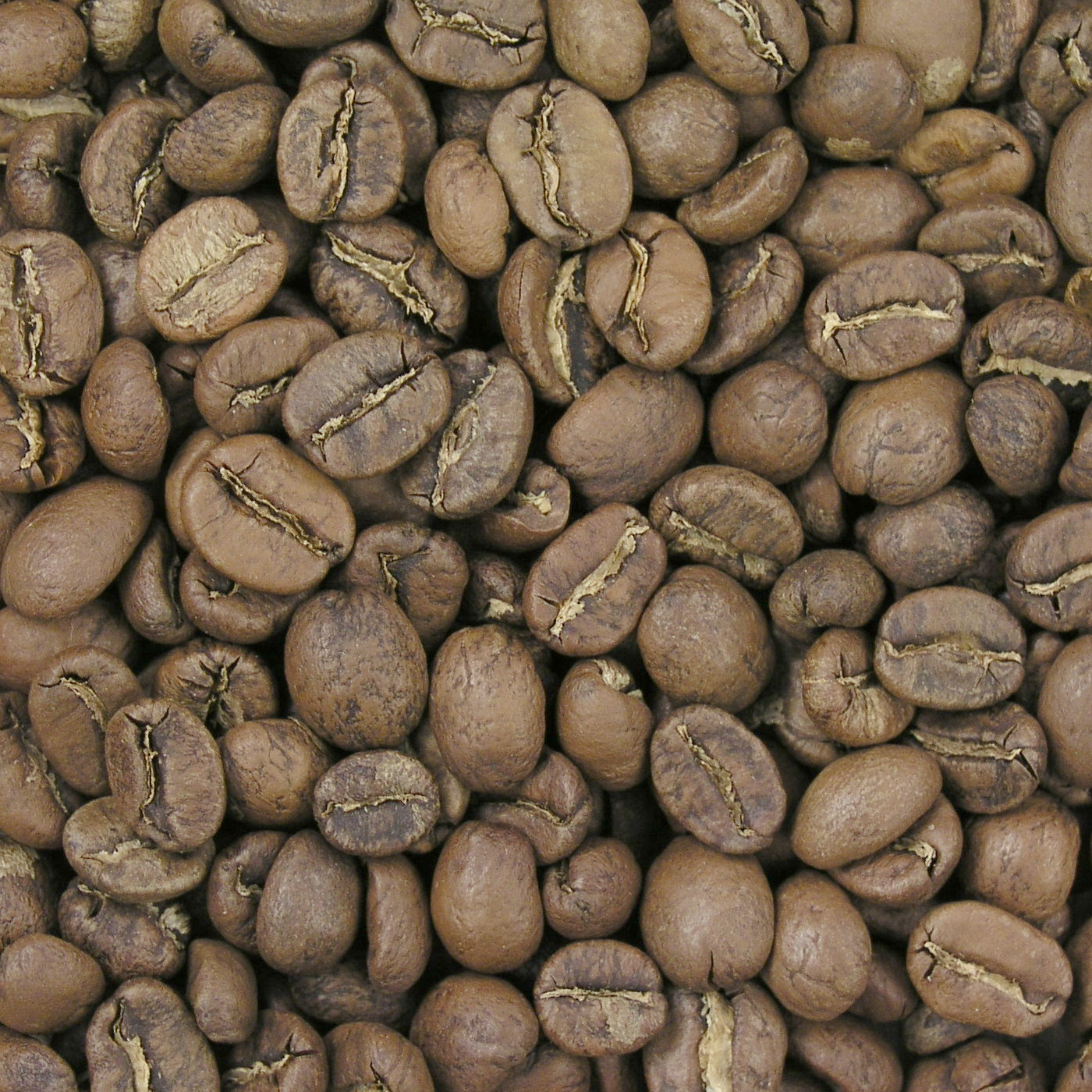 Ethiopia FTO