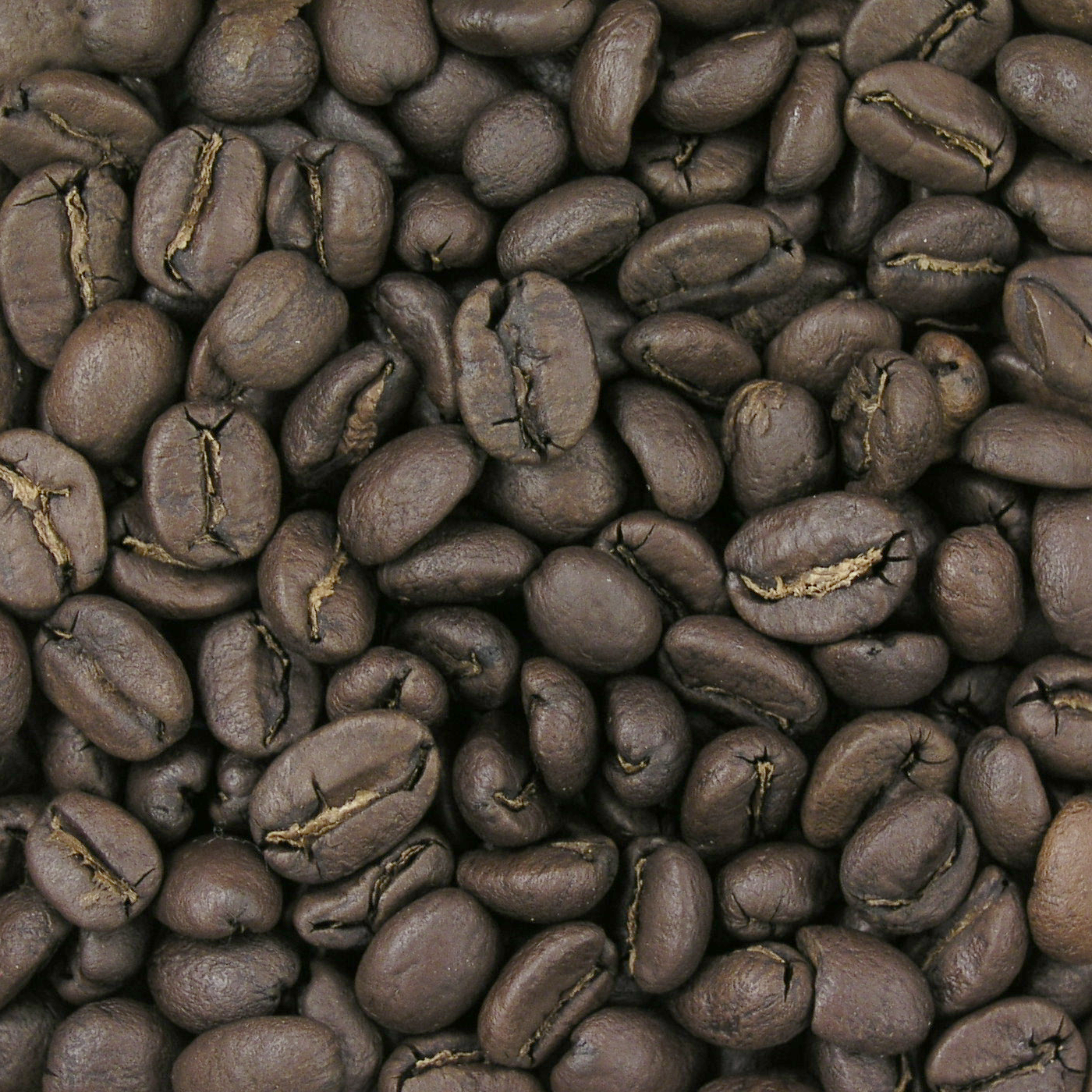 Costa Rica FTO